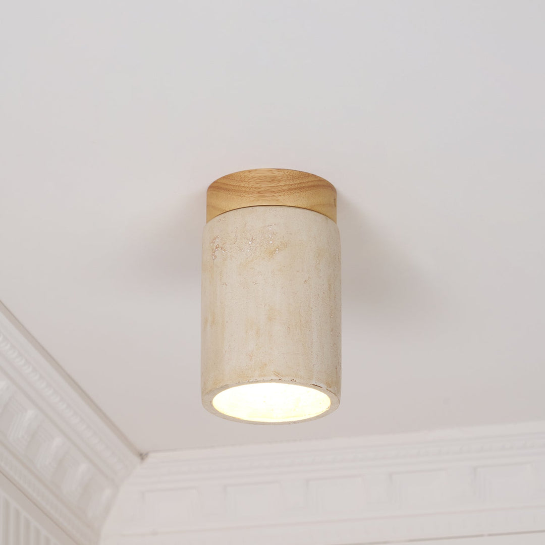 Terra Cylinder Ceiling Light