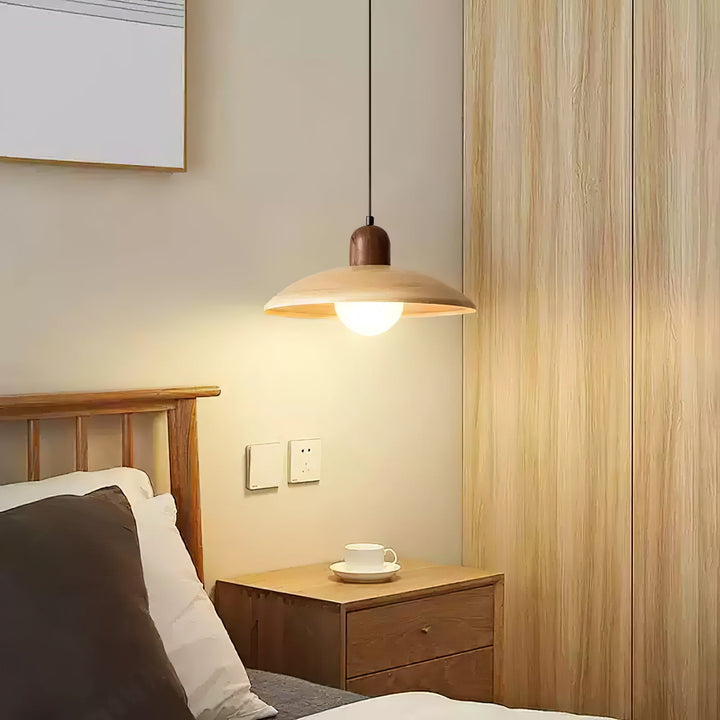 Valencia Pendant Light - Vakkerlight
