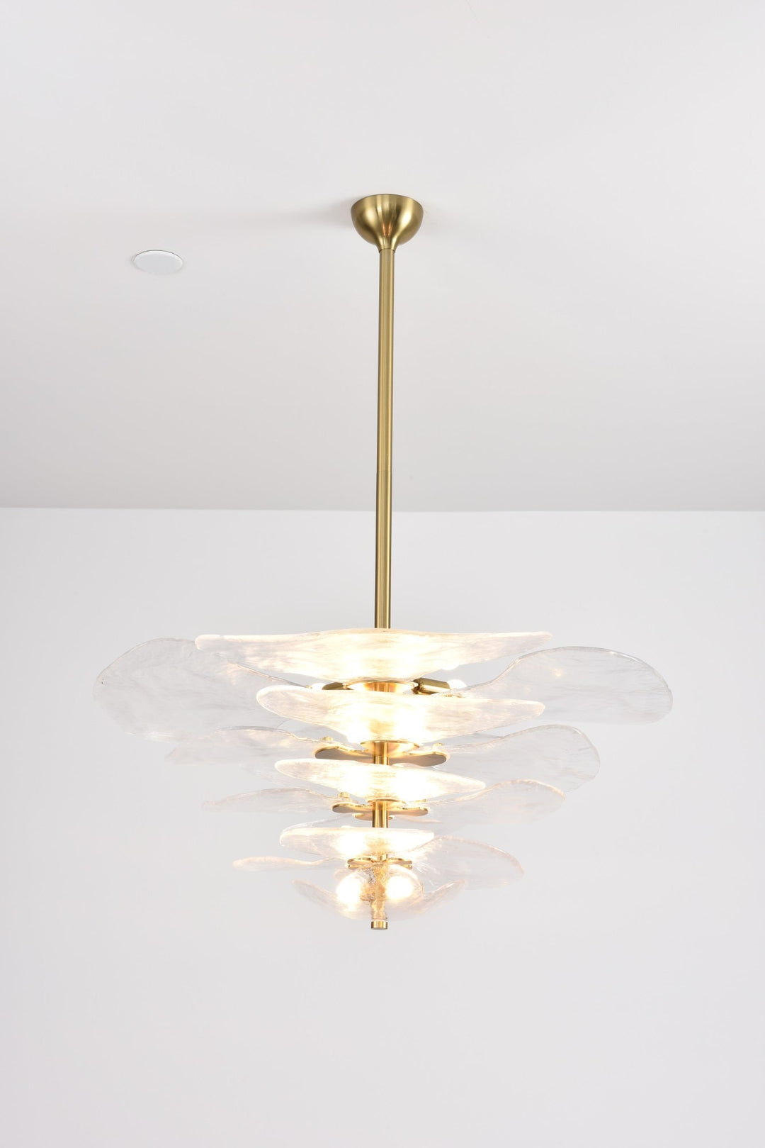 Petals Gold Murano Chandelier - Vakkerlight
