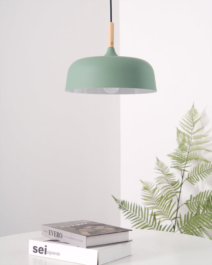 Acorn Pendant Light - Vakkerlight