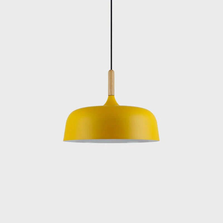 Acorn Pendant Light - Vakkerlight