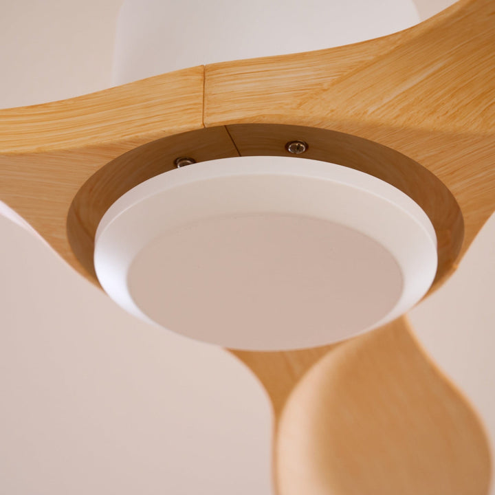 Amelia Ceiling Fan - Vakkerlight