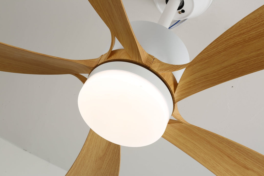 Avenli Ceiling Fan Light