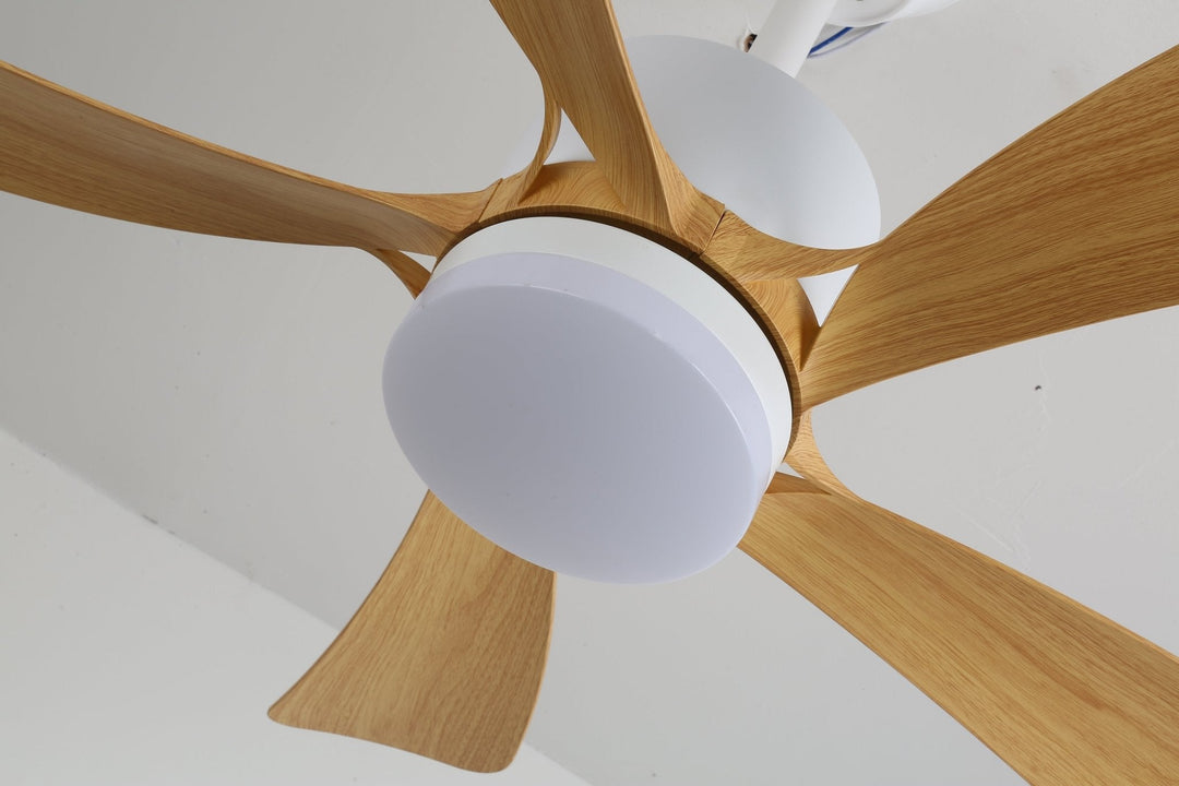 Avenli Ceiling Fan Light