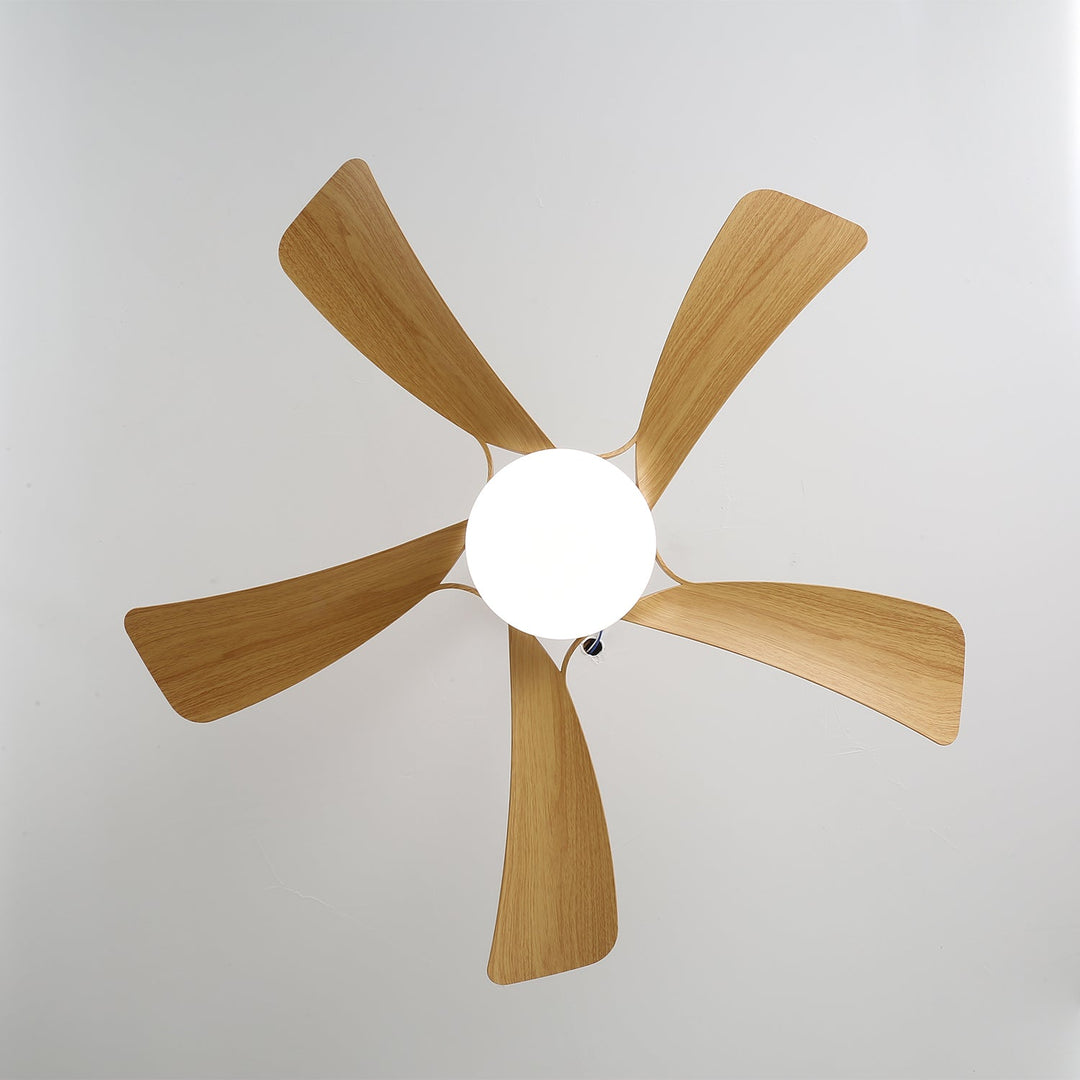 Avenli Ceiling Fan Light