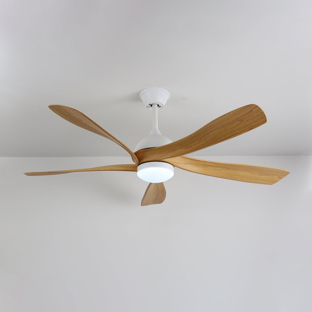 Avenli Ceiling Fan Light
