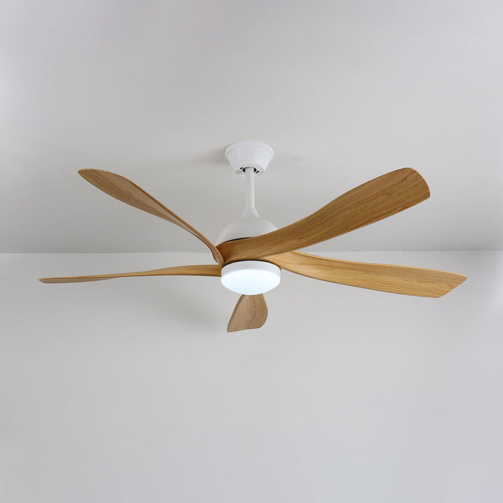 Avenli Ceiling Fan Light