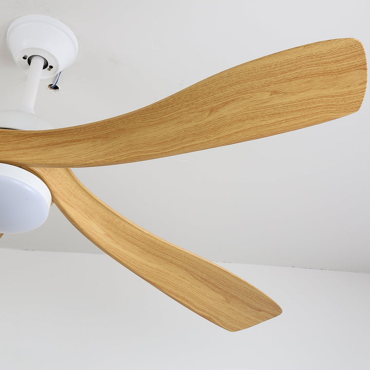 Avenli Ceiling Fan Light