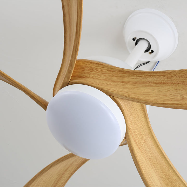 Avenli Ceiling Fan Light