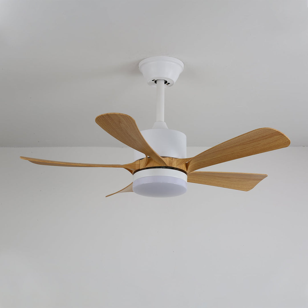 Avenli Ceiling Fan Light