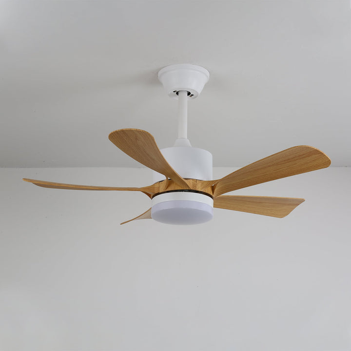 Avenli Ceiling Fan Light