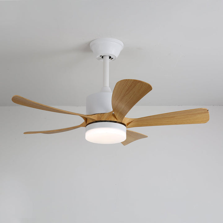Avenli Ceiling Fan Light