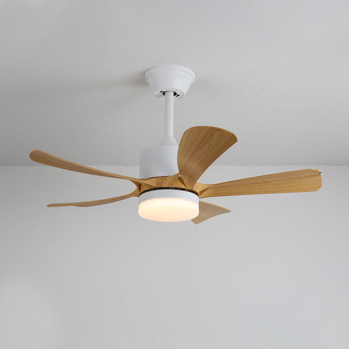 Avenli Ceiling Fan Light