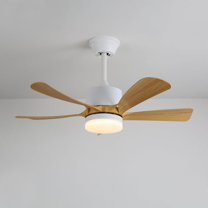 Avenli Ceiling Fan Light