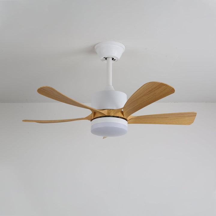Avenli Ceiling Fan Light