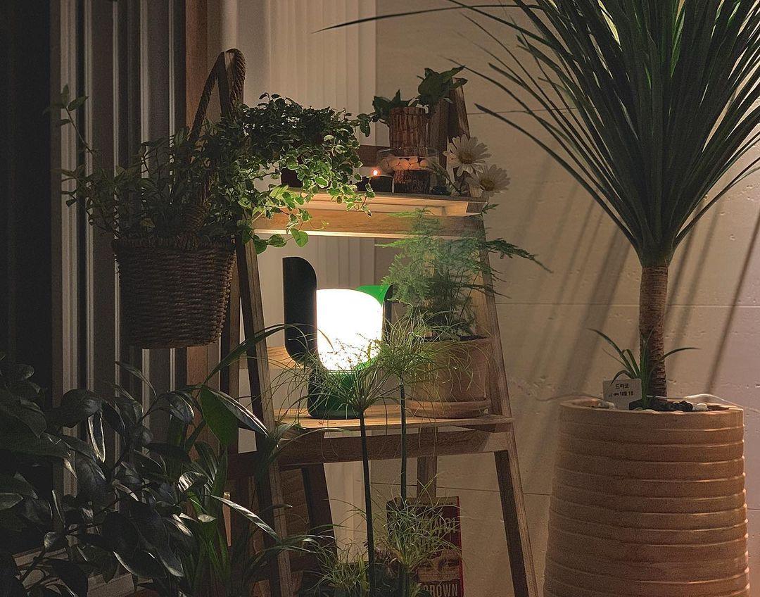 Blom Table Lamp - Vakkerlight