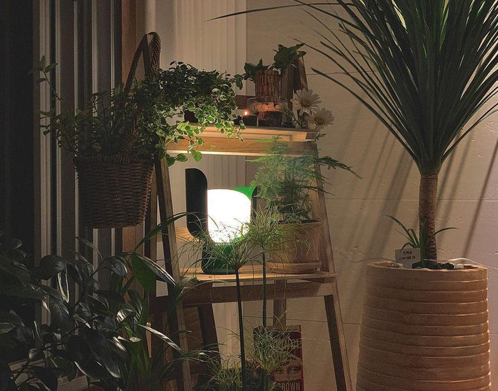 Blom Table Lamp - Vakkerlight