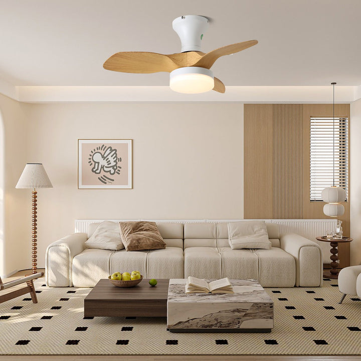 Brisa Ceiling Fan Light - Vakkerlight