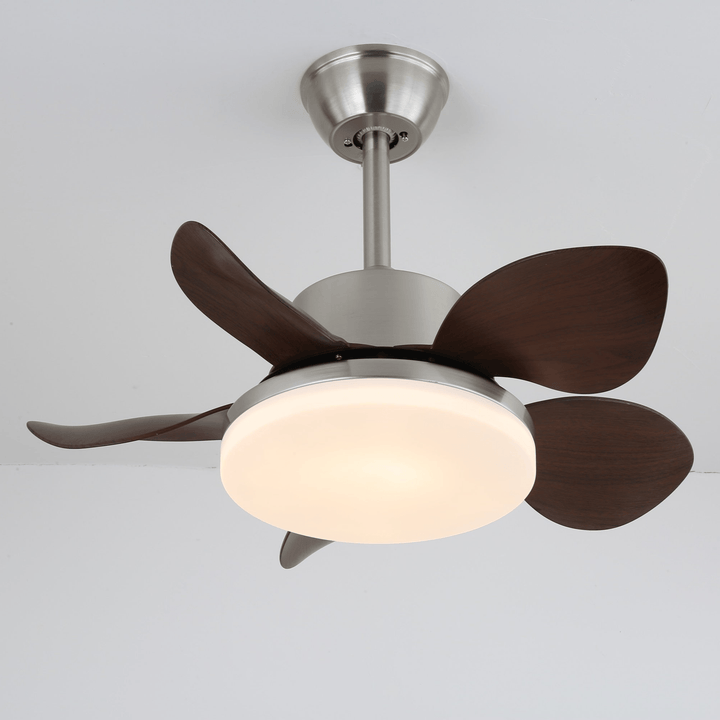 Terra Walnut Ceiling Fan Light - Vakkerlight