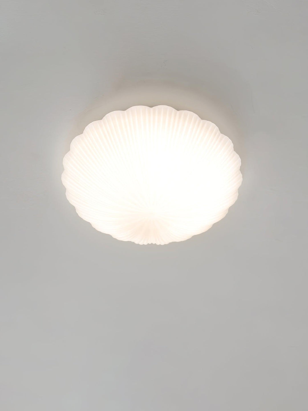 Devan Seashell Ceiling Lamp - Vakkerlight