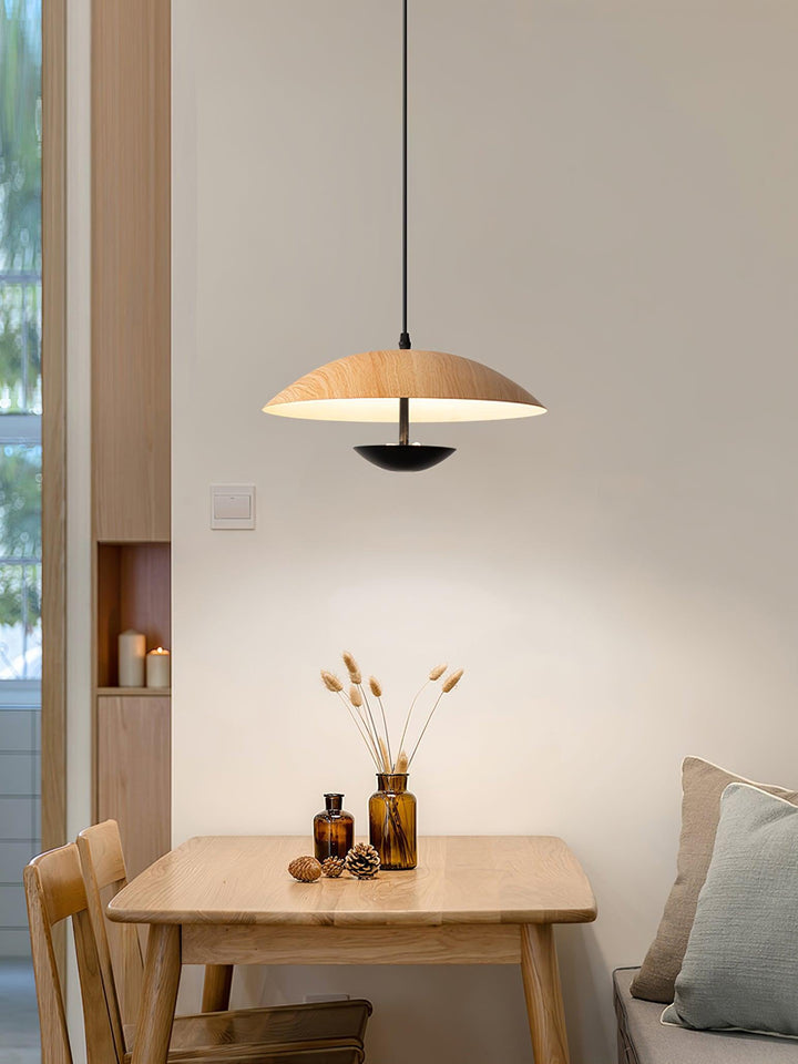 Frisbee Pendant Lamp