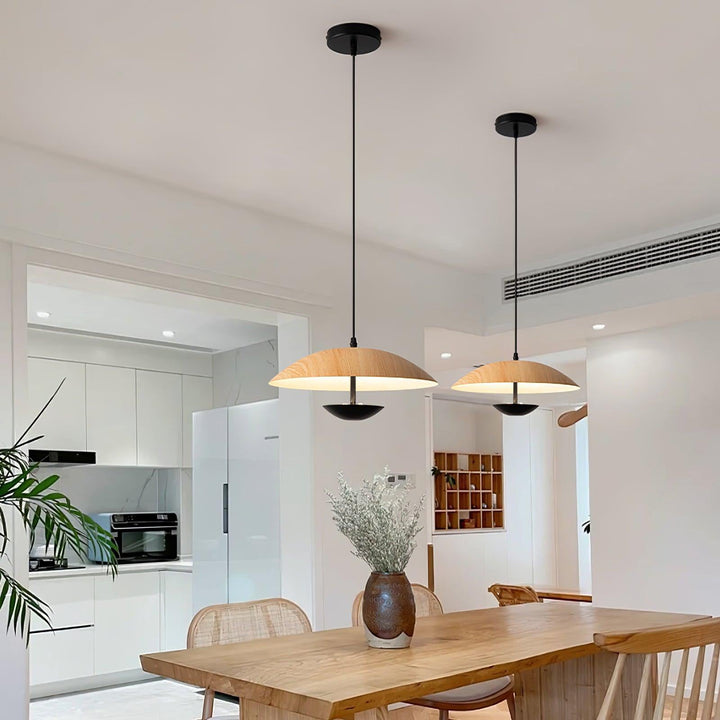 Frisbee Pendant Lamp