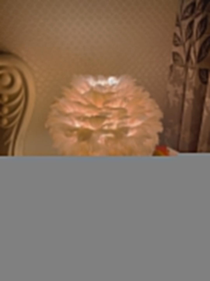 Goose Feather Table Lamp - Vakkerlight