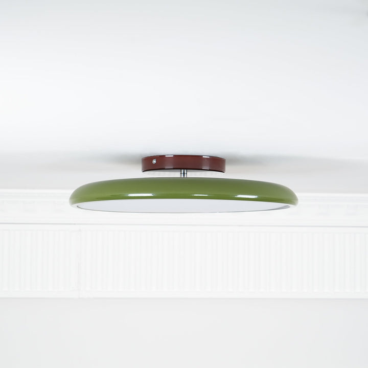 Drift Adjustable Ceiling Lamp