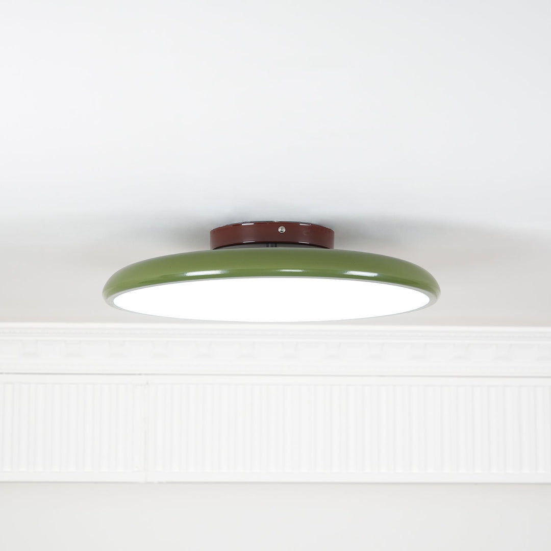 Drift Adjustable Ceiling Lamp