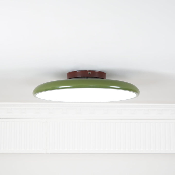 Drift Adjustable Ceiling Lamp