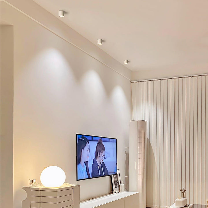 Modupoint Ceiling Light - Vakkerlight