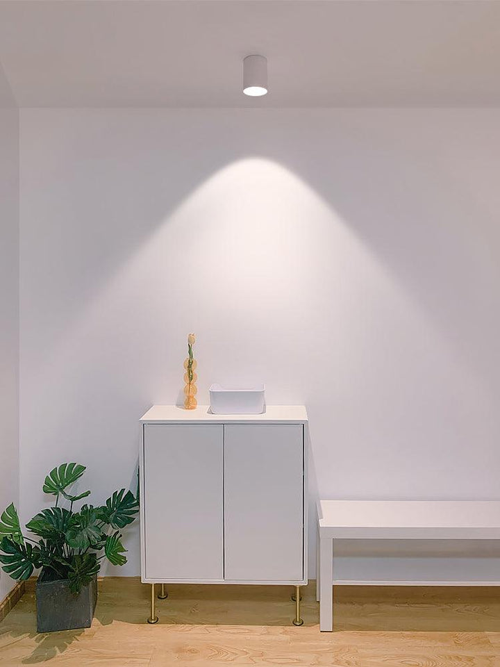 Modupoint Ceiling Light - Vakkerlight