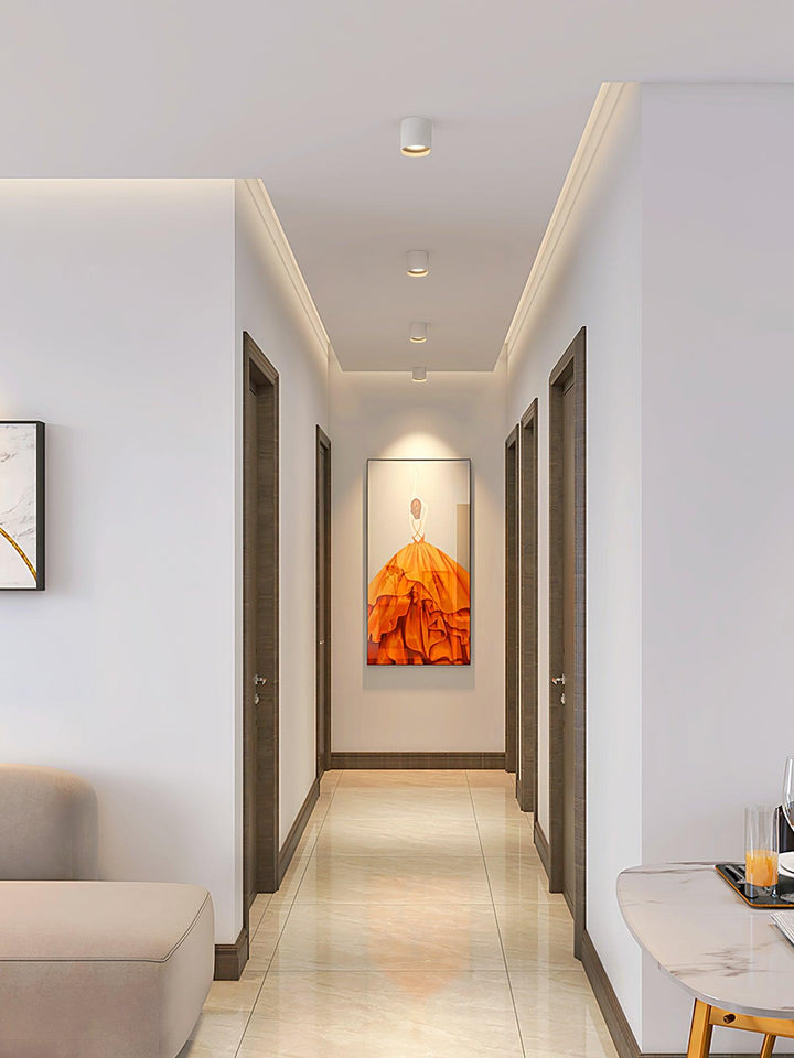 Modupoint Ceiling Light - Vakkerlight