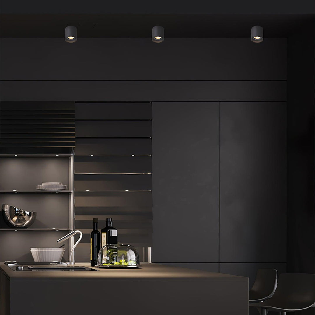 Modupoint Ceiling Light - Vakkerlight