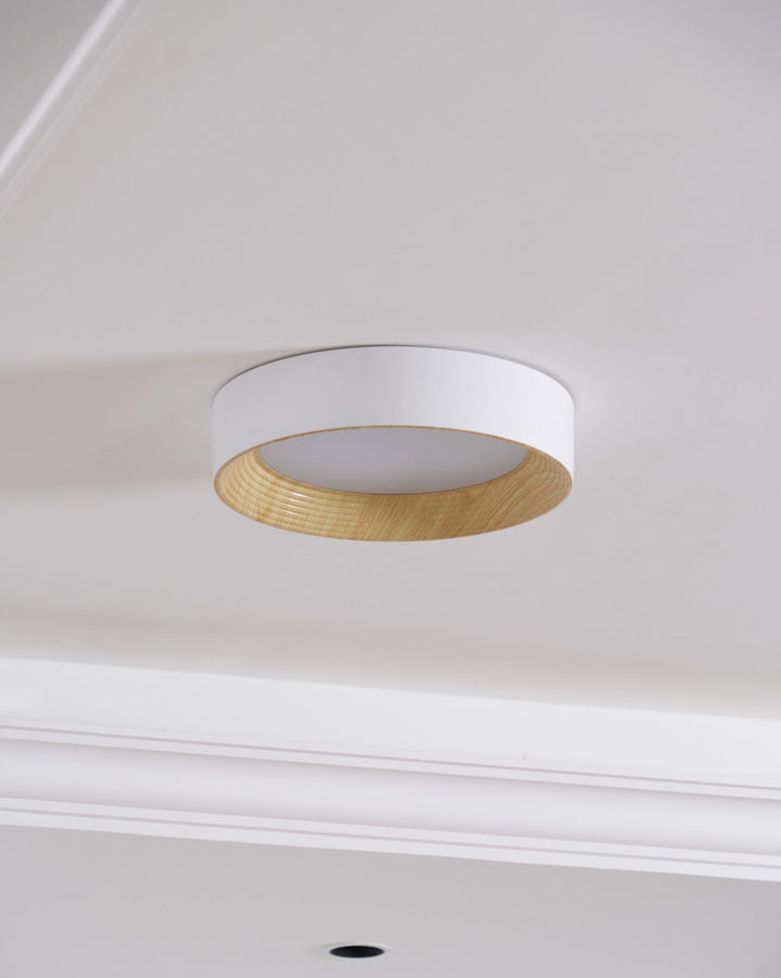 Oreen Ceiling Lamp - Vakkerlight