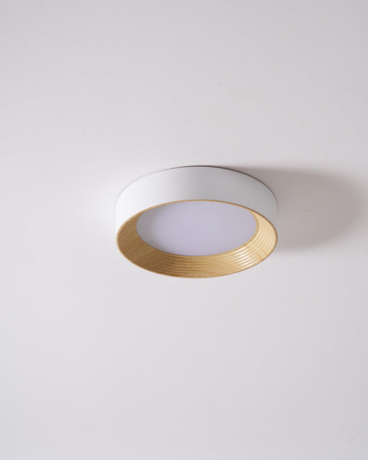 Oreen Ceiling Lamp - Vakkerlight