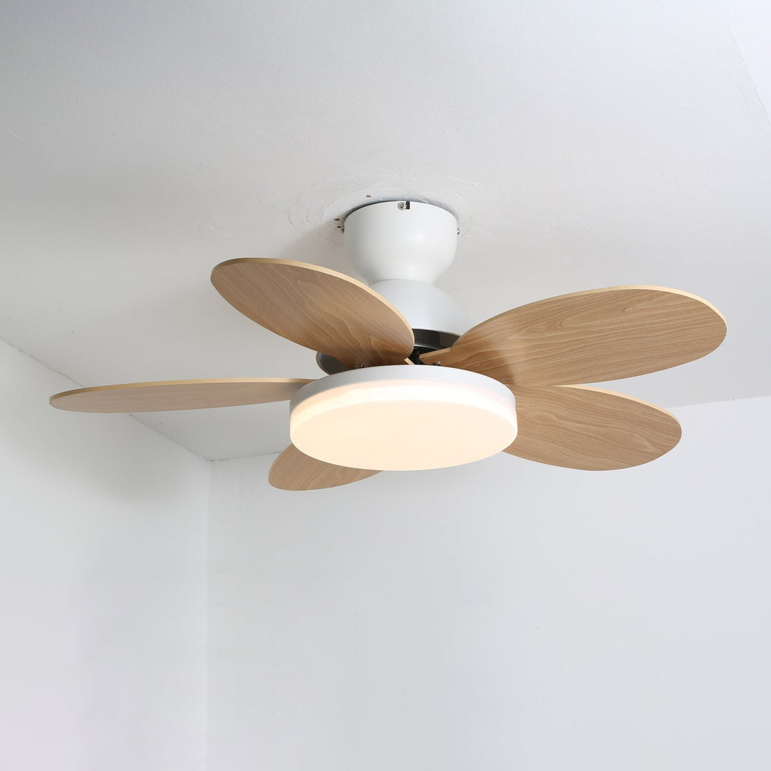 Petalo Ceiling Fan Light - Vakkerlight