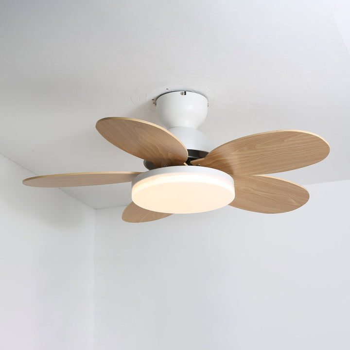 Petalo Ceiling Fan Light - Vakkerlight