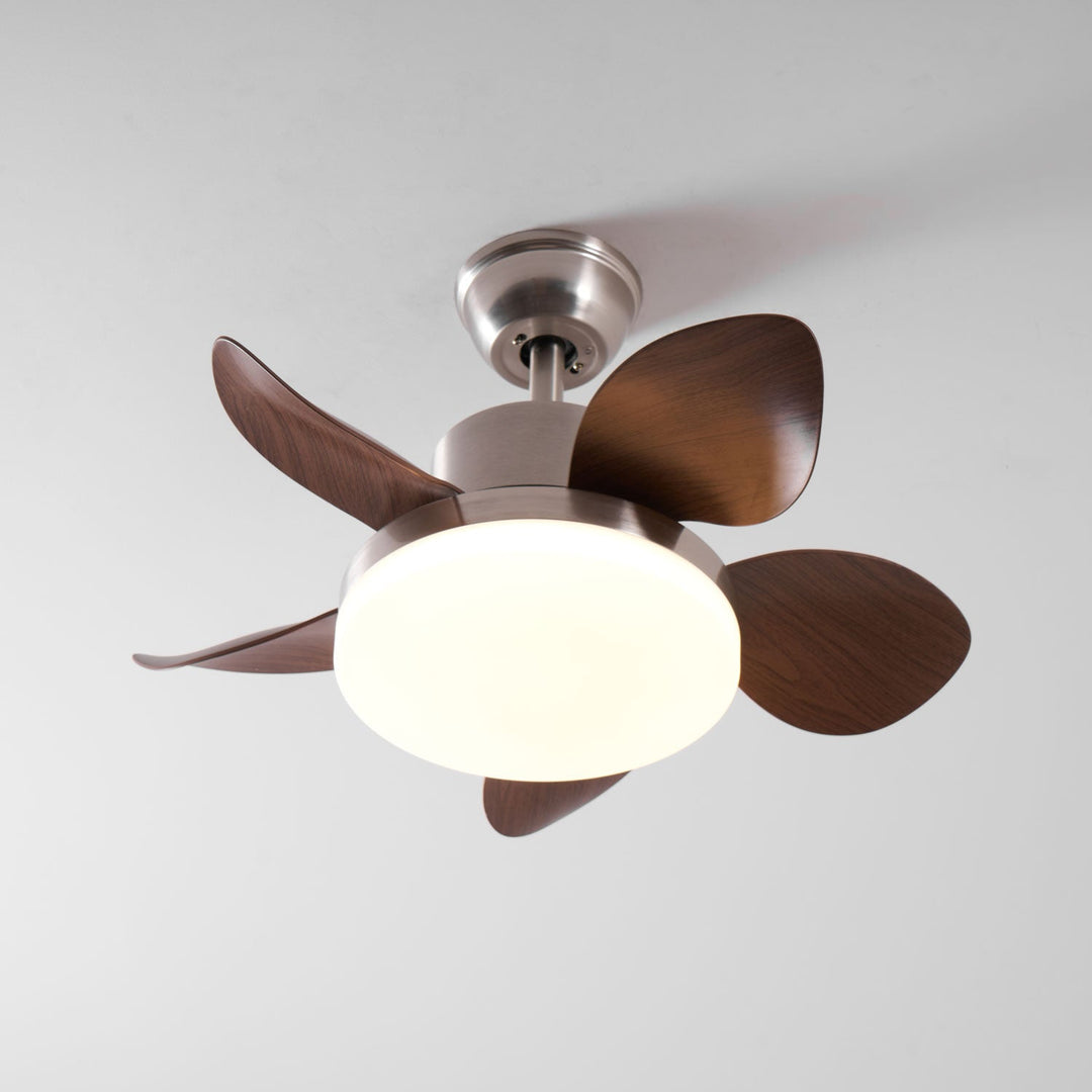 Terra Walnut Ceiling Fan Light - Vakkerlight