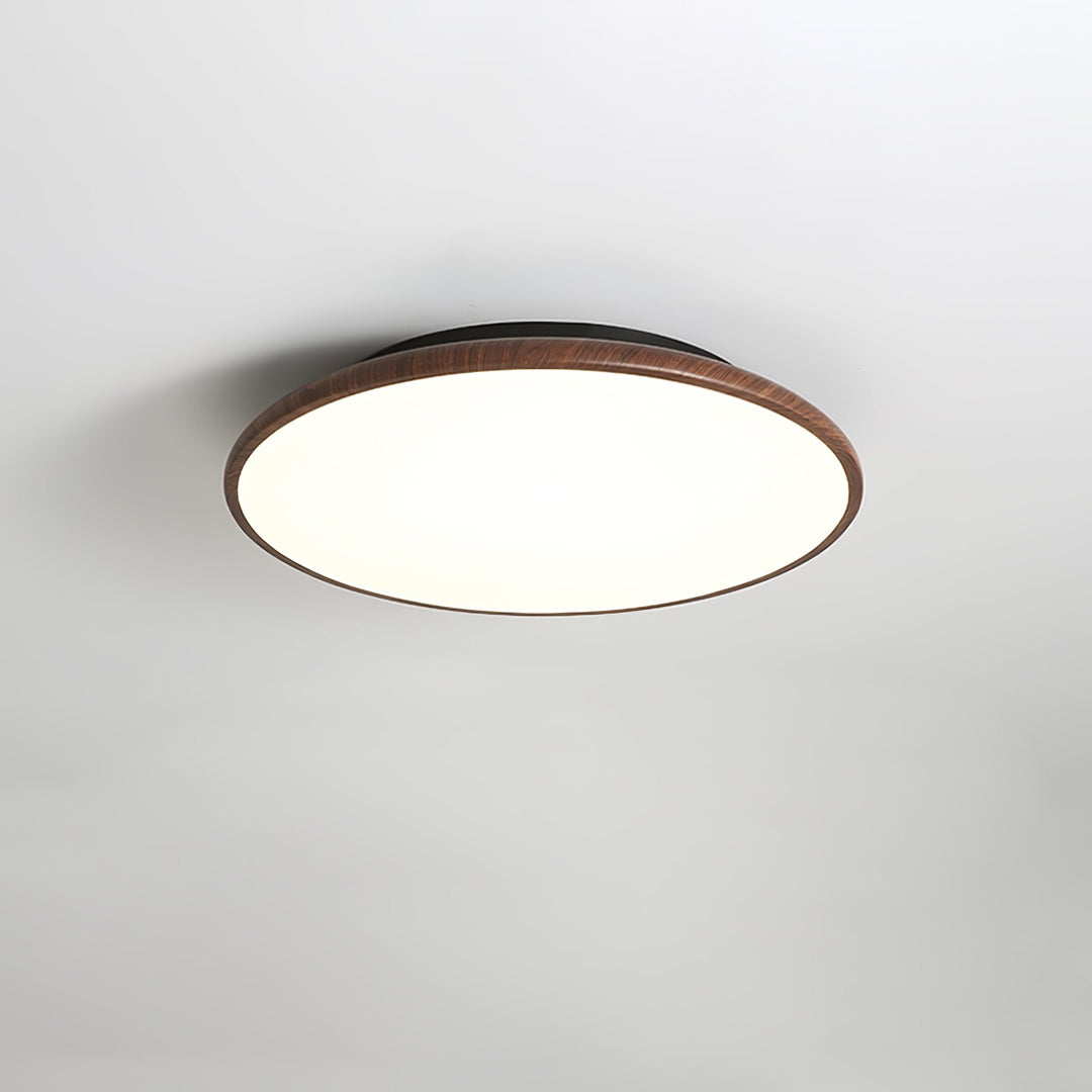Thin Geometry Shape Ceiling Lamp - Vakkerlight