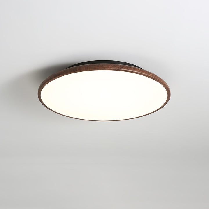 Thin Geometry Shape Ceiling Lamp - Vakkerlight