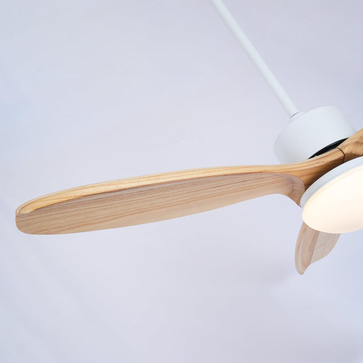 Harborough 3 Ceiling Fan Light - Vakkerlight