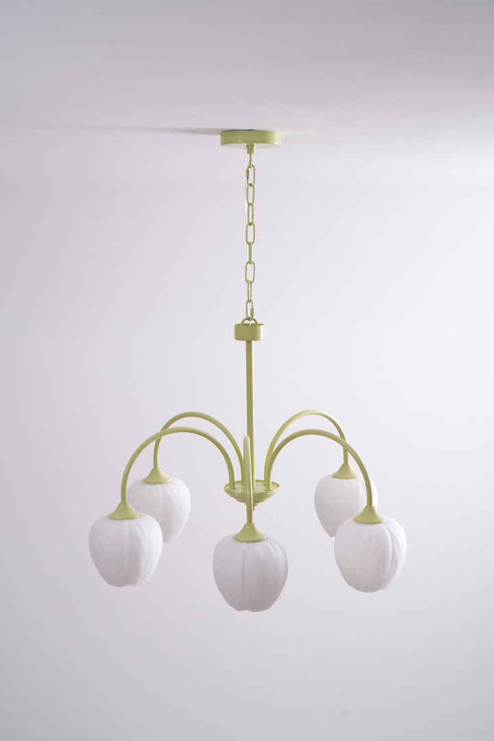 Tulip Matcha Chandelier - Vakkerlight
