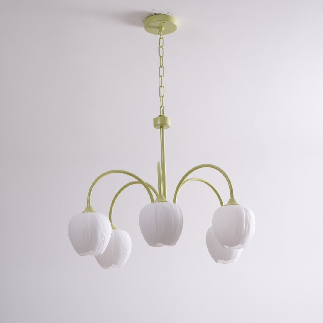 Tulip Matcha Chandelier - Vakkerlight