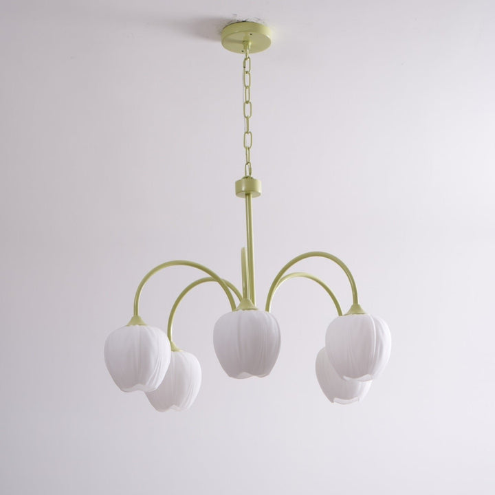 Tulip Matcha Chandelier - Vakkerlight