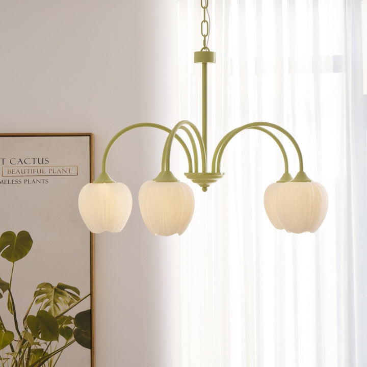 Tulip Matcha Chandelier - Vakkerlight