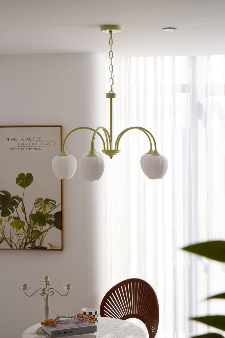 Tulip Matcha Chandelier - Vakkerlight