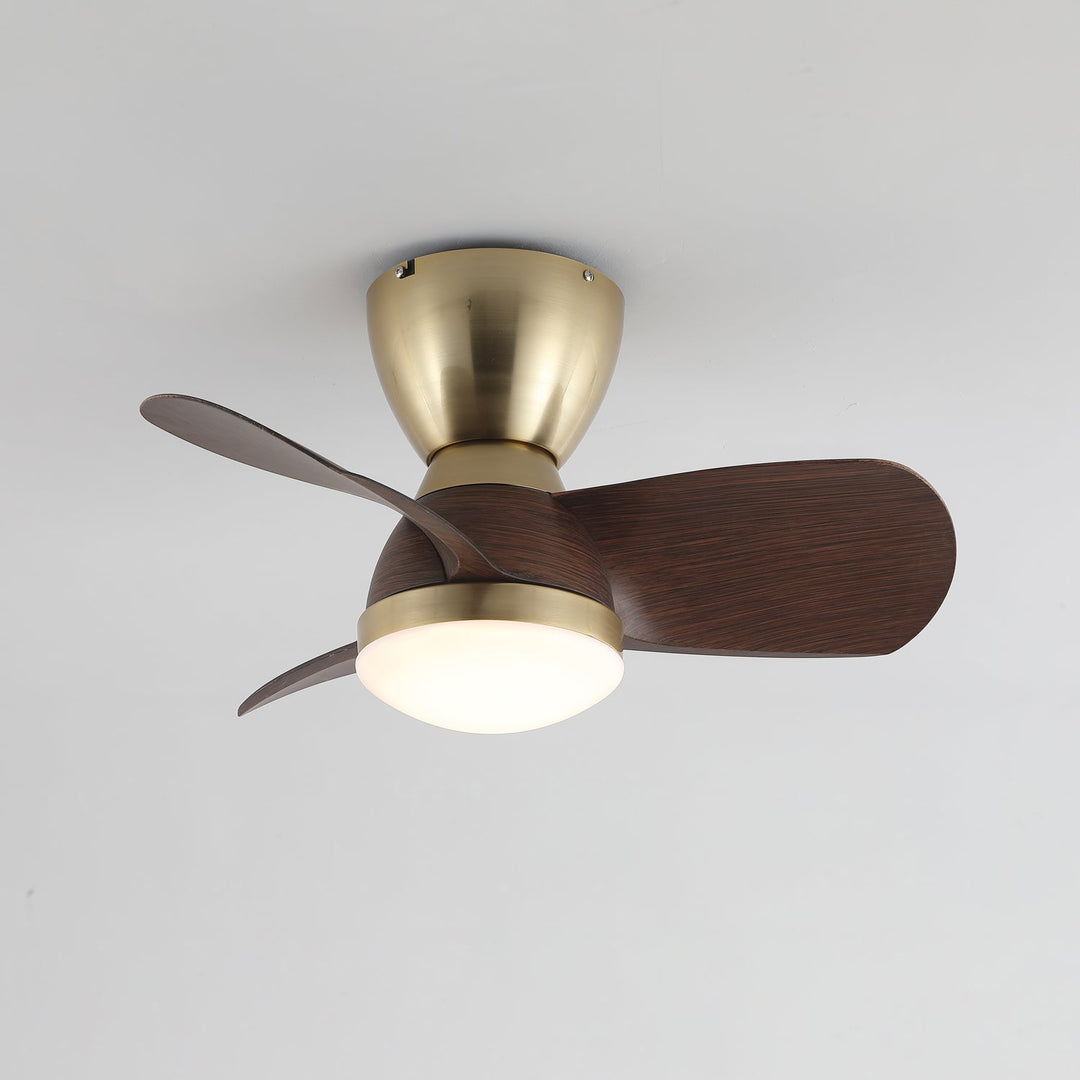 Velis Ceiling Fan Light